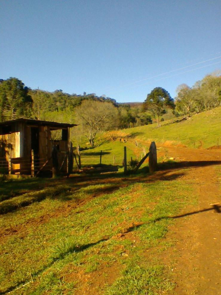 CHÁCARA PARA VENDA EM PATO BRANCO PR